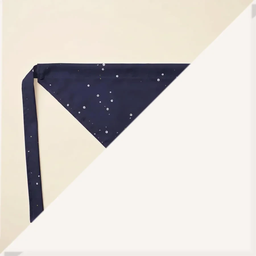 Midnight Paws Halloween Bandana